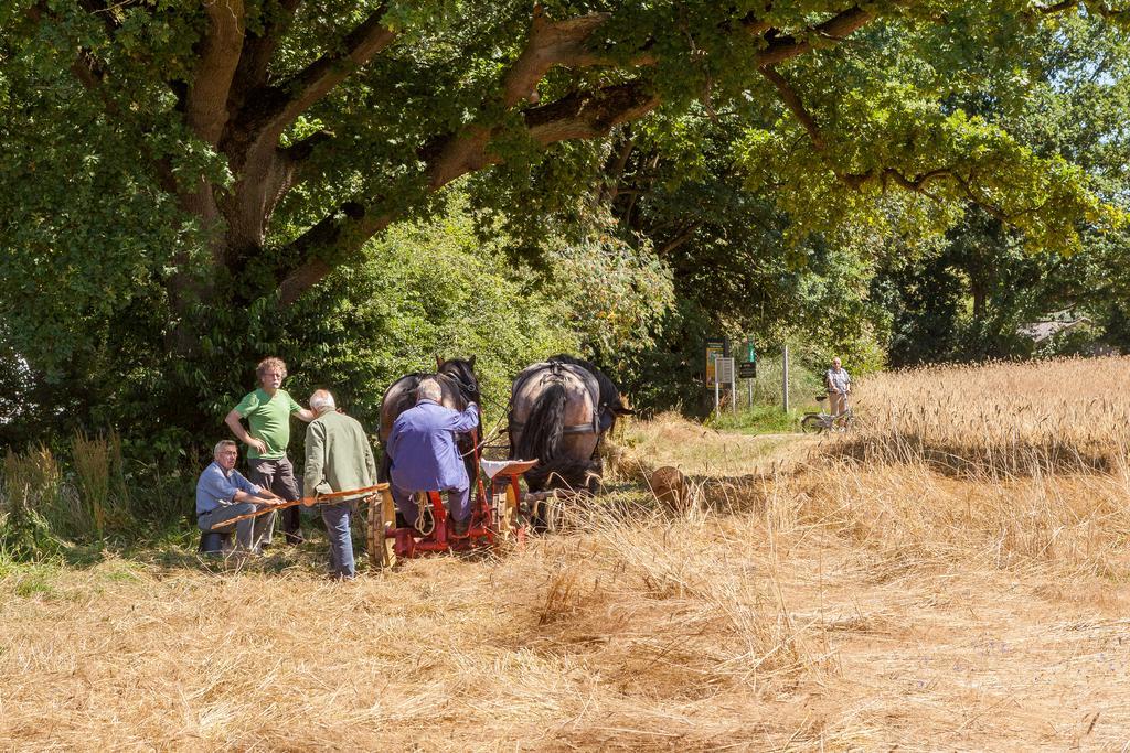 Hoeve Springendal Ootmarsum Bagian luar foto