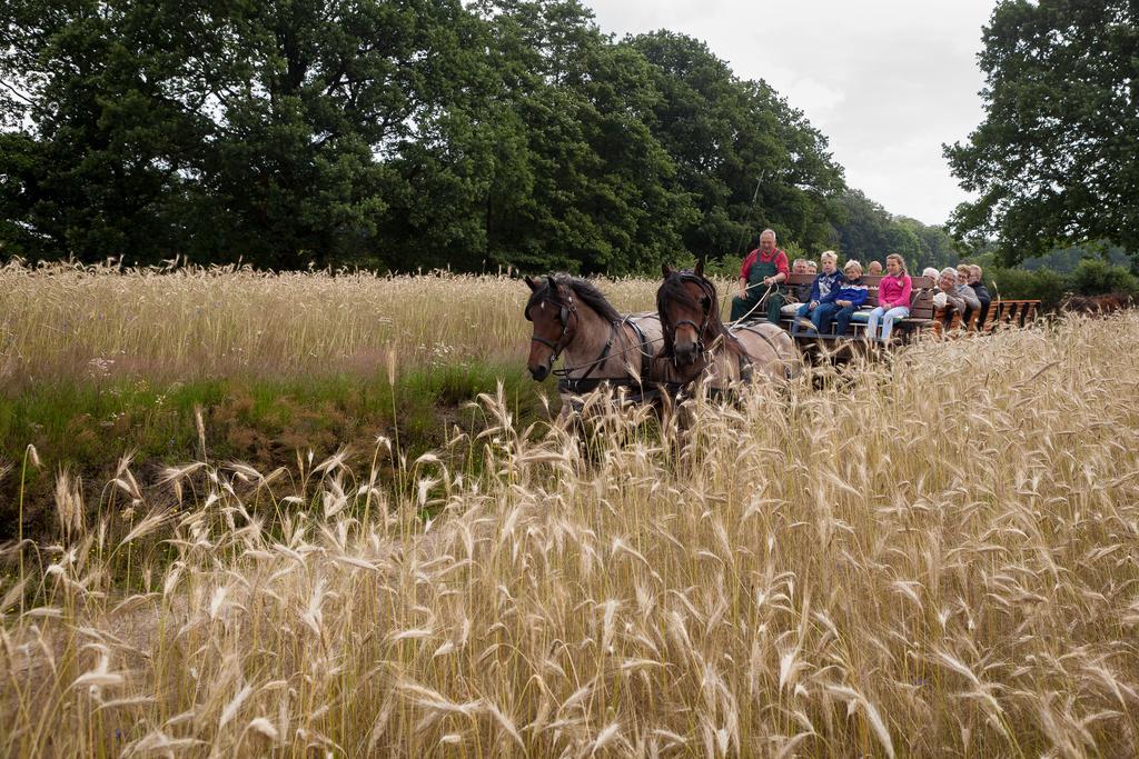 Hoeve Springendal Ootmarsum Bagian luar foto