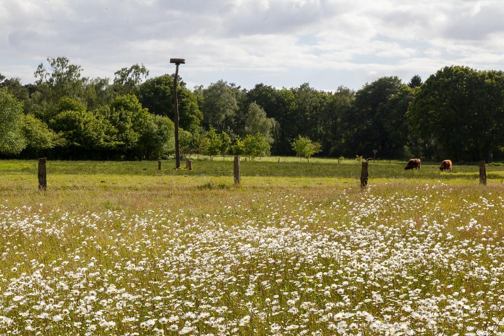Hoeve Springendal Ootmarsum Bagian luar foto