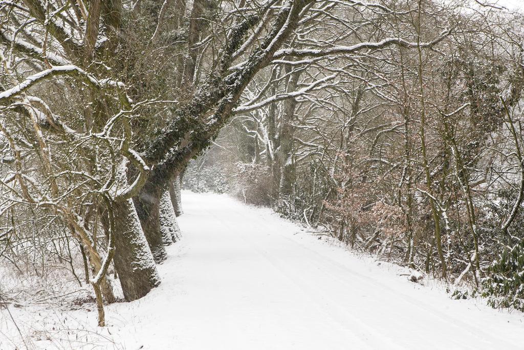 Hoeve Springendal Ootmarsum Bagian luar foto
