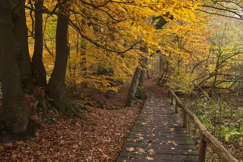 Hoeve Springendal Ootmarsum Bagian luar foto