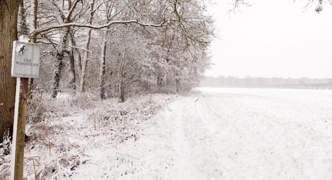 Hoeve Springendal Ootmarsum Bagian luar foto